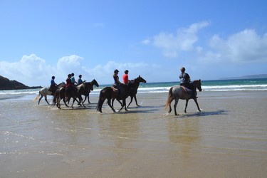 randonnée à cheval dans le finistère, randonnée à cheval en Bretagne, randonnée bord de mer, randonnée nature