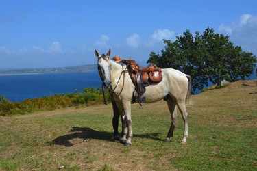 randonnée à cheval dans le finistère, randonnée à cheval en Bretagne, randonnée bord de mer, randonnée nature