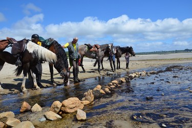 randonnée à cheval dans le finistère, randonnée à cheval en Bretagne, randonnée bord de mer, randonnée nature