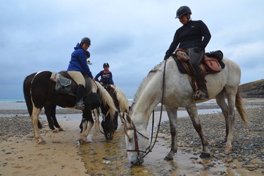 randonnée à cheval dans le finistère, randonnée à cheval en Bretagne, randonnée bord de mer, randonnée nature