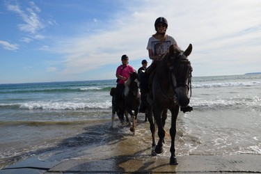 randonnée à cheval dans le finistère, randonnée à cheval en Bretagne, randonnée bord de mer, randonnée nature