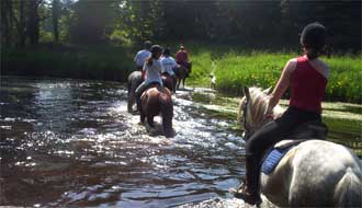 Randonnées ésquestres en Bretagne - RANDOCHEVAL