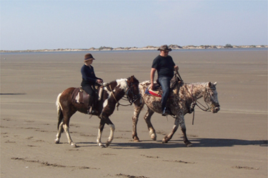 Rando Cheval - Voyage à cheval