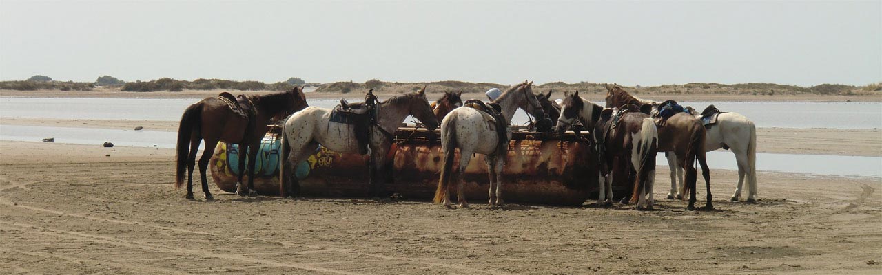 Voyage à cheval - Randonnée équestre organisée par Randocheval