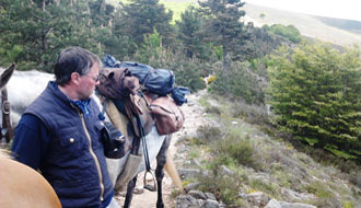 Voyage à cheval dans les Cévennes - Randonnée équestre en Croatie avec Randocheval