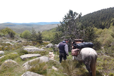 Voyage à cheval dans les Cévennes - Randonnée équestre en Croatie avec Randocheval