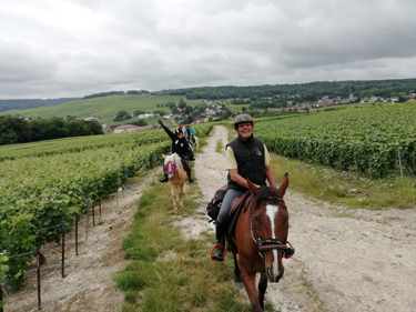 Randonnée équestre en Alsace - RANDOCHEVAL