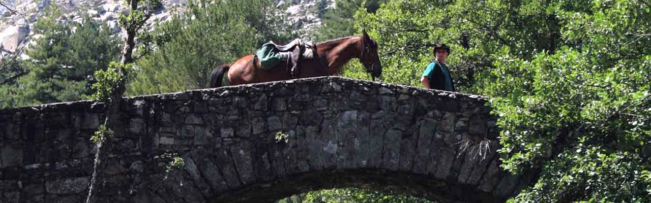 Voyage à cheval - Randonnée équestre organisée par Randocheval