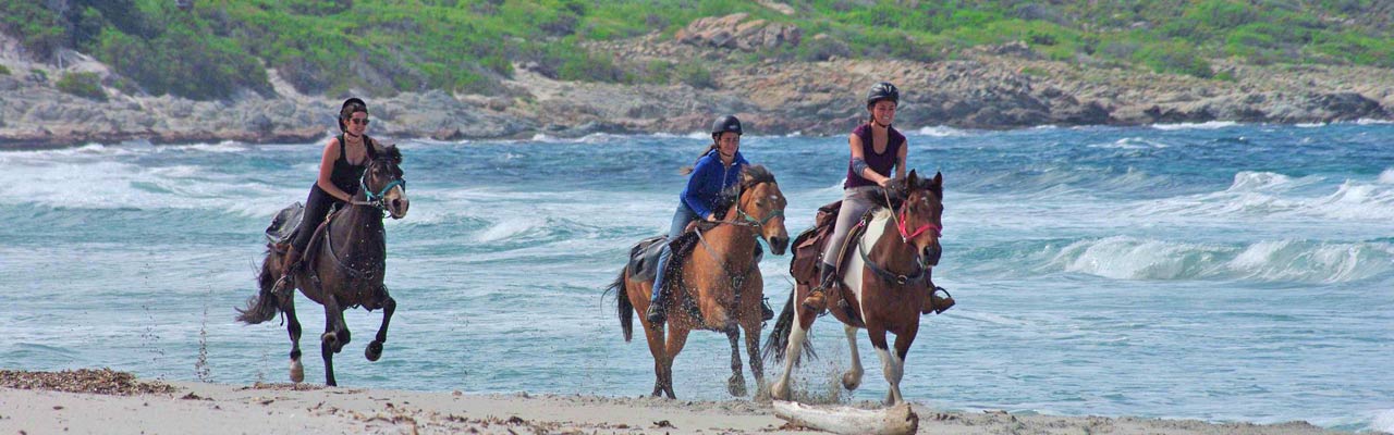 Voyage à cheval - Randonnée équestre organisée par Randocheval