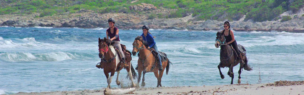 Voyage à cheval - Randonnée équestre organisée par Randocheval