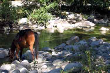 Rando Cheval - Voyage à cheval