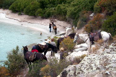 Rando Cheval - Voyage à cheval