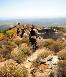 cheval pour randonnée équestre en Corse - randocheval