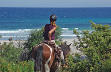 cheval pour randonnée équestre en Corse - randocheval