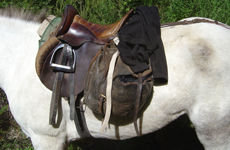 chevaux pour randonnée en Corse - randocheval