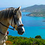 Randonn&eacute;e en Corse, Agriates - RANDOCHEVAL