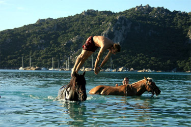 Rando Cheval - Voyage à cheval