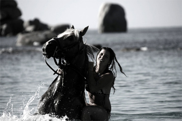 Rando Cheval - Voyage à cheval