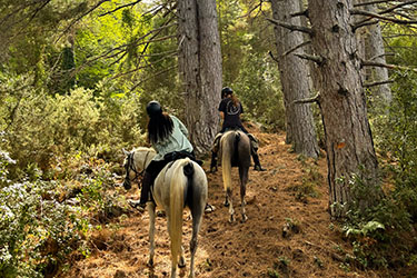 Rando &agrave; cheval en Corse