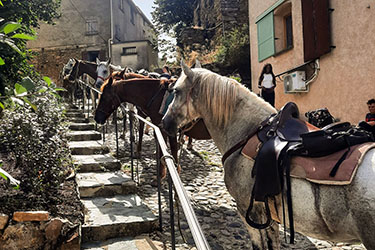 Rando &agrave; cheval en Corse