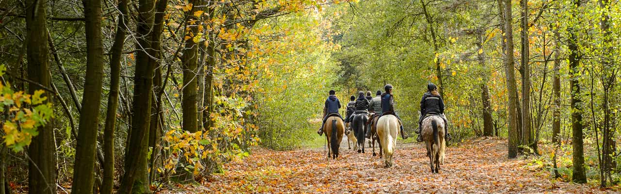 Voyage à cheval - Randonnée équestre organisée par Randocheval