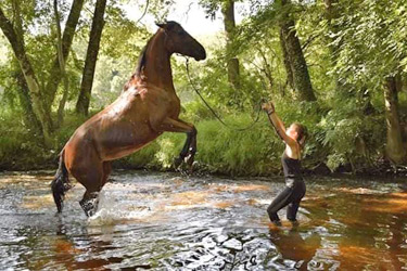 Voyage à cheval - Randonnée équestre organisée par Randocheval