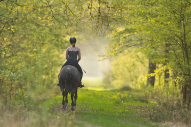 Voyage à cheval - Randonnée équestre organisée par Randocheval