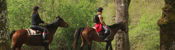 L'équitation western : Les bonnes pratiques et équipement à respecter -  Randonné Equestre Dordogne : Centre d'équitation de Nouvelle Aquitaine