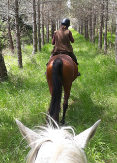 Voyage à cheval - Randonnée équestre organisée par Randocheval