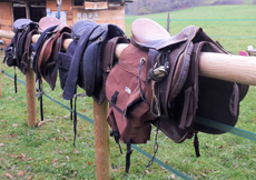 Voyage à cheval - Randonnée équestre organisée par Randocheval