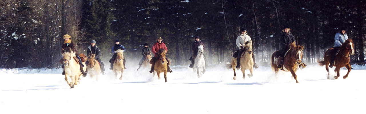 Voyage à cheval dans le Jura en hiver - Randonnée équestre organisée par Randocheval