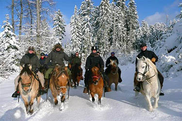 Voyage à cheval dans le Jura en hiver - Randonnée équestre organisée par Randocheval