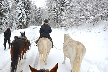 Voyage à cheval dans le Jura en hiver - Randonnée équestre organisée par Randocheval