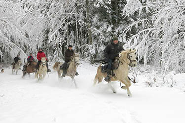 Voyage à cheval dans le Jura en hiver - Randonnée équestre organisée par Randocheval