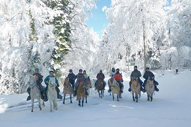 Voyage à cheval dans le Jura en hiver - Randonnée équestre organisée par Randocheval