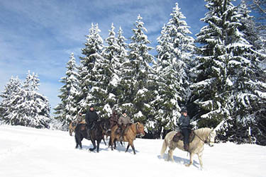 Voyage à cheval dans le Jura en hiver - Randonnée équestre organisée par Randocheval