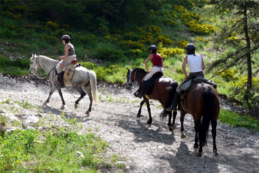 Rando Cheval en Hautes Alpes FRANCE - Voyage à cheval