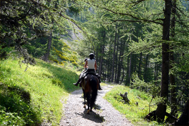 Rando Cheval en Hautes Alpes FRANCE - Voyage à cheval