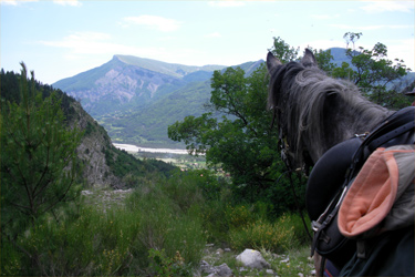 Rando Cheval en Hautes Alpes FRANCE - Voyage à cheval