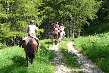 Rando Cheval en Hautes Alpes FRANCE - Voyage à cheval