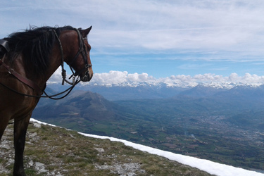 Rando Cheval en Hautes Alpes FRANCE - Voyage à cheval