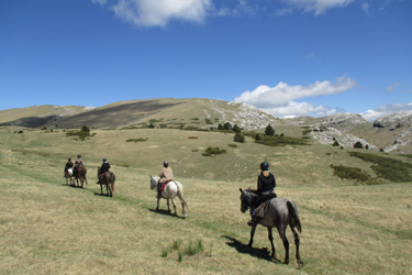 Rando Cheval en Hautes Alpes FRANCE - Voyage à cheval