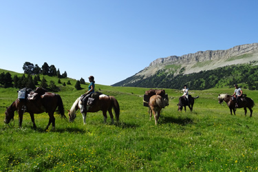 Rando Cheval en Hautes Alpes FRANCE - Voyage à cheval