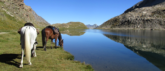 Rando Cheval en Hautes Alpes FRANCE - Voyage à cheval