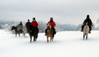 Voyage à cheval dans le Jura en hiver - Randonnée équestre organisée par Randocheval