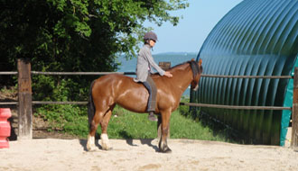 Chevaux de Franches Montagnes - RANDOCHEVAL