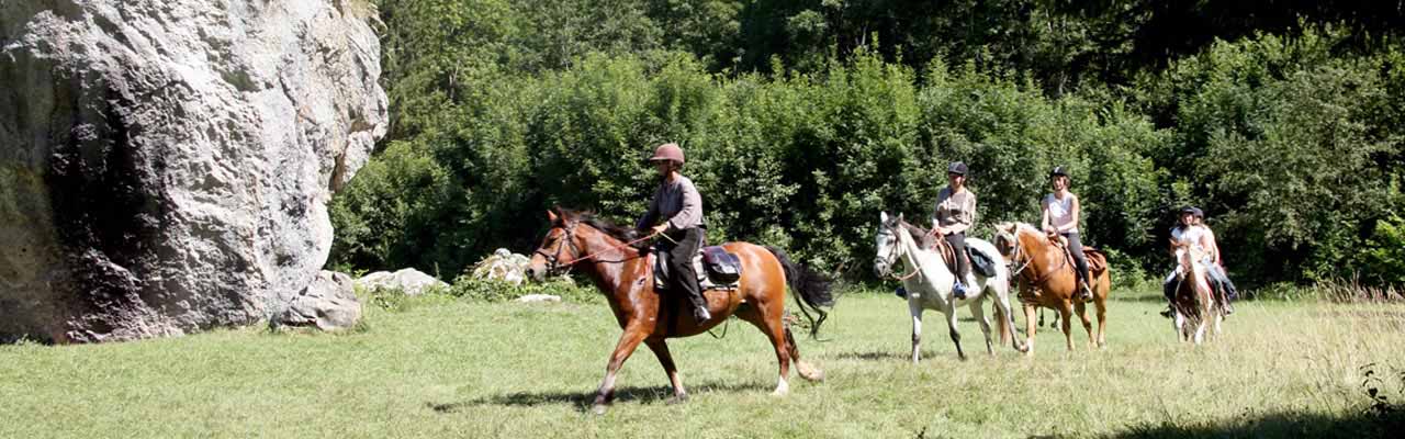 Voyage à cheval dans le Jura (juniors) - Randonnée équestre organisée par Randocheval