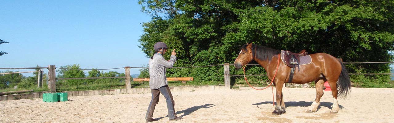 Stage éthologie dans le Jura - Randonnée équestre organisée par Randocheval