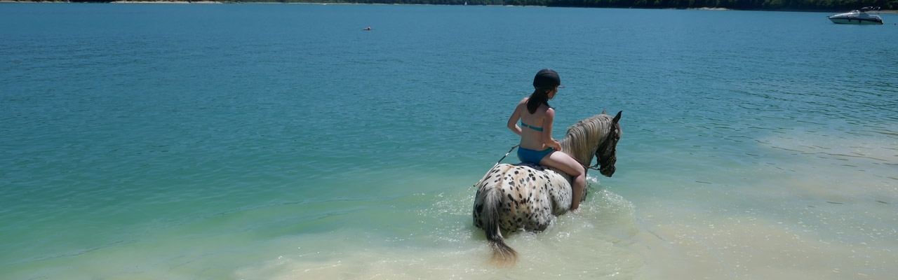 Voyage à cheval dans le Jura - Randonnée équestre organisée par Randocheval