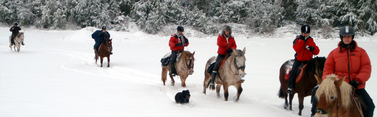 Voyage à cheval dans le Jura en hiver - Randonnée équestre organisée par Randocheval